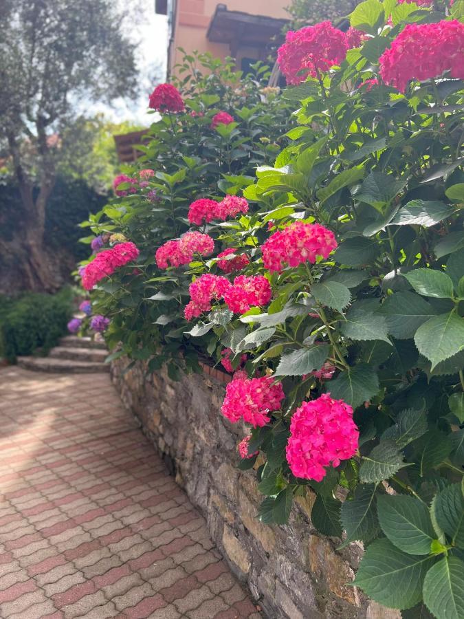 The Time -Home & Hotel- Santa Margherita Ligure Ngoại thất bức ảnh